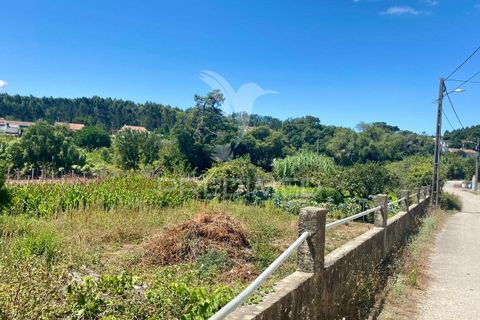 Ruinere i Rio Maior, Santarem, Rio Maior - € 44.000 | Ref: 046831 - foto 4