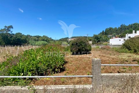 Ruinere i Rio Maior, Santarem, Rio Maior - € 44.000 | Ref: 046831 - foto 5