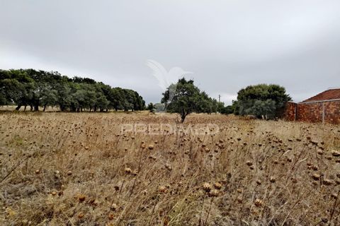 Terra a Alcanena, Santarem, Alcanena - € 13.000 | Ref: 046954 - foto 14