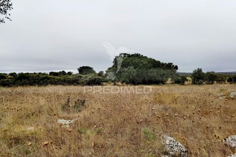 Terra a Alcanena, Santarem, Alcanena - € 13.000 | Ref: 046954 - foto 17