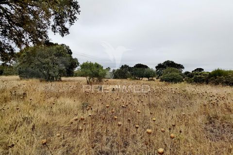 Terra a Alcanena, Santarem, Alcanena - € 13.000 | Ref: 046954 - foto 20