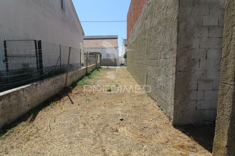 Terra a Mora, Evora, Mora - € 60.000 | Ref: 046978 - foto 21