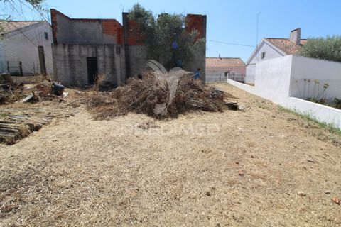 Terra a Mora, Evora, Mora - € 60.000 | Ref: 046978 - foto 23