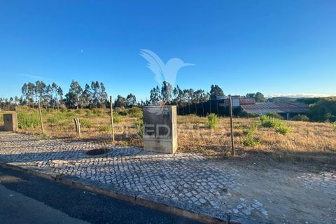 Helårsgrund i Rio Maior, Santarem, Rio Maior - € 42.500 | Ref: 047674 - foto 1