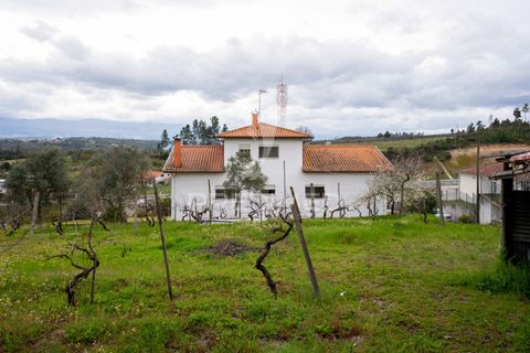 Byhus i Mangualde, Viseu, Mangualde - € 385.000 | Ref: 047715 - foto 6