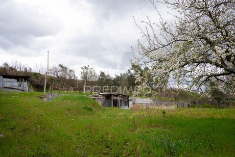 Byhus i Mangualde, Viseu, Mangualde - € 385.000 | Ref: 047715 - foto 28