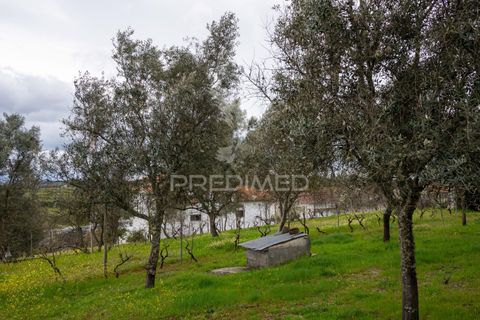 Byhus i Mangualde, Viseu, Mangualde - € 385.000 | Ref: 047715 - foto 30