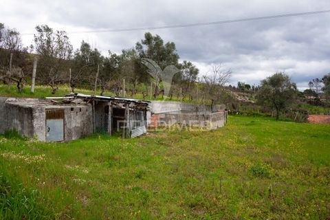Byhus i Mangualde, Viseu, Mangualde - € 385.000 | Ref: 047715 - foto 31