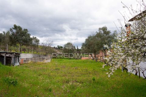 Byhus i Mangualde, Viseu, Mangualde - € 385.000 | Ref: 047715 - foto 32
