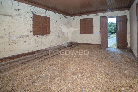 Landejendom i Guimaraes, Braga, Guimaraes - € 275.000 | Ref: 047742 - foto 27