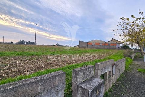 Helårsgrund i Aveiro, Aveiro, Aveiro - € 65.000 | Ref: 048489 - foto 1