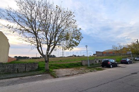 Helårsgrund i Aveiro, Aveiro, Aveiro - € 65.000 | Ref: 048489 - foto 3
