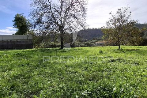 Helårsgrund i Ourem, Santarem, Ourem - € 49.000 | Ref: 049005 - foto 1