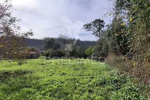 Helårsgrund i Ourem, Santarem, Ourem - € 49.000 | Ref: 049005 - foto 3