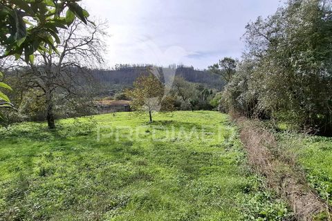 Helårsgrund i Ourem, Santarem, Ourem - € 49.000 | Ref: 049005 - foto 7