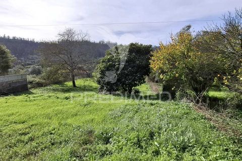 Helårsgrund i Ourem, Santarem, Ourem - € 49.000 | Ref: 049005 - foto 8
