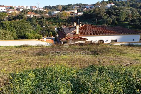 Helårsgrund i Chamusca, Santarem, Chamusca - € 45.920 | Ref: 049283 - foto 3