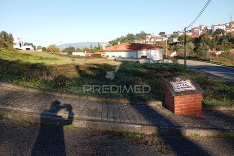 Helårsgrund i Chamusca, Santarem, Chamusca - € 45.920 | Ref: 049283 - foto 6