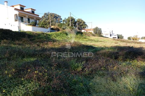 Helårsgrund i Chamusca, Santarem, Chamusca - € 45.920 | Ref: 049283 - foto 7