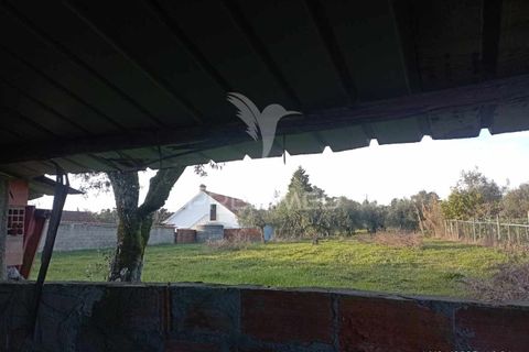 Byhus i Ourem, Santarem, Ourem - € 74.000 | Ref: 049586 - foto 14
