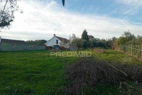 Byhus i Ourem, Santarem, Ourem - € 74.000 | Ref: 049586 - foto 15