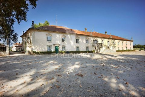 Masia a Anadia, Aveiro, Anadia - € 8.026.000 | Ref: 049718 - foto 2