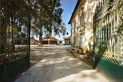 Masia a Anadia, Aveiro, Anadia - € 8.026.000 | Ref: 049718 - foto 3