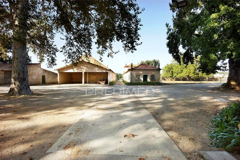 Masia a Anadia, Aveiro, Anadia - € 8.026.000 | Ref: 049718 - foto 4