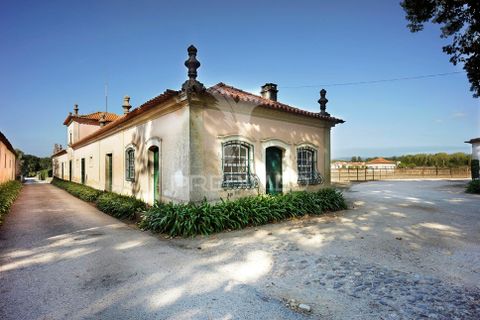 Masia a Anadia, Aveiro, Anadia - € 8.026.000 | Ref: 049718 - foto 5