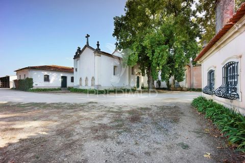 Masia a Anadia, Aveiro, Anadia - € 8.026.000 | Ref: 049718 - foto 8