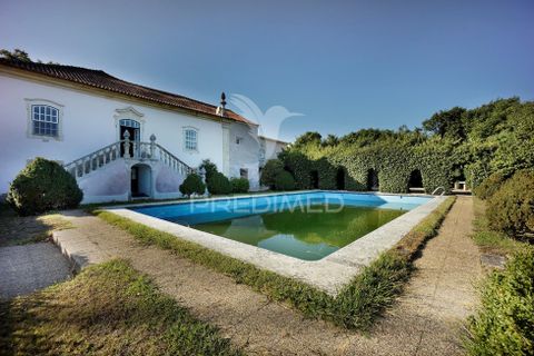 Masia a Anadia, Aveiro, Anadia - € 8.026.000 | Ref: 049718 - foto 18