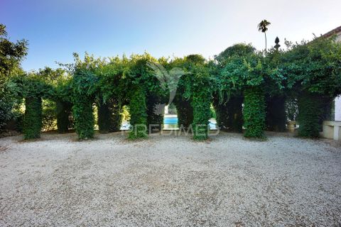 Masia a Anadia, Aveiro, Anadia - € 8.026.000 | Ref: 049718 - foto 30