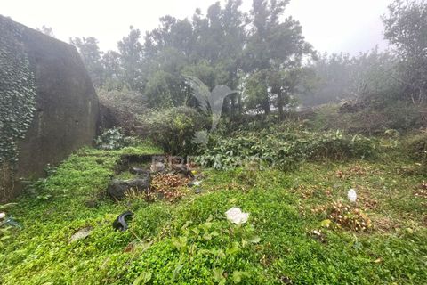 Ruin i Calheta, Sao Jorge, Calheta - € 43 000 | Ref: 049851 - foto 14