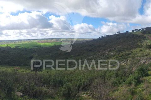 Terra a Alandroal, Evora, Alandroal - € 250.000 | Ref: 049938 - foto 2