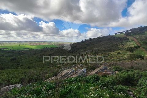 Terra a Alandroal, Evora, Alandroal - € 250.000 | Ref: 049938 - foto 3