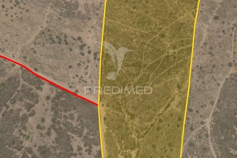 Terra a Alandroal, Evora, Alandroal - € 250.000 | Ref: 049938 - foto 4