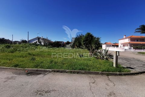 Helårsgrund i Entroncamento, Santarem, Entroncamento - € 54.000 | Ref: 050945 - foto 2