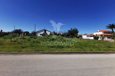 Helårsgrund i Entroncamento, Santarem, Entroncamento - € 54.000 | Ref: 050945 - foto 5