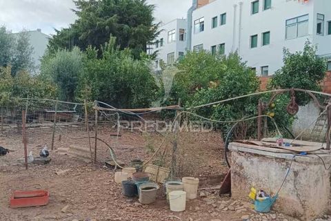 Byhus i Vila Vicosa, Evora, Vila Vicosa - € 470.000 | Ref: 051339 - foto 30
