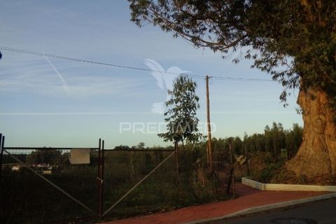 Helårsgrund i Ovar, Aveiro, Ovar - € 72.000 | Ref: 051340 - foto 2