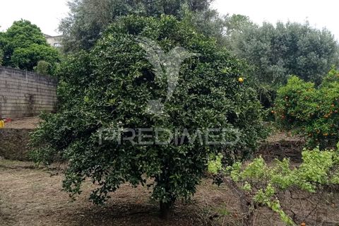 Byhus i Ponte de Sor, Portalegre, Ponte de Sor - € 99.000 | Ref: 051462 - foto 18