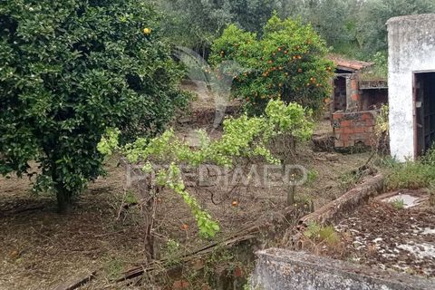 Byhus i Ponte de Sor, Portalegre, Ponte de Sor - € 99.000 | Ref: 051462 - foto 20