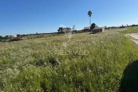 Helårsgrund i Setubal, Setubal, Setubal - € 122.500 | Ref: 051663 - foto 2