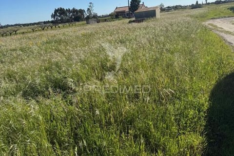 Helårsgrund i Setubal, Setubal, Setubal - € 122.500 | Ref: 051663 - foto 3