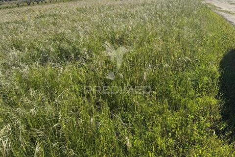 Helårsgrund i Setubal, Setubal, Setubal - € 122.500 | Ref: 051663 - foto 4