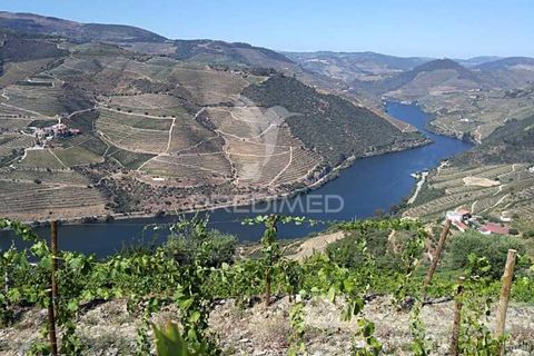Farm hus i Tabuaco, Viseu, Tabuaco - € 760.000 | Ref: 052055 - foto 5
