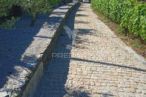 Farm hus i Tabuaco, Viseu, Tabuaco - € 760.000 | Ref: 052055 - foto 10