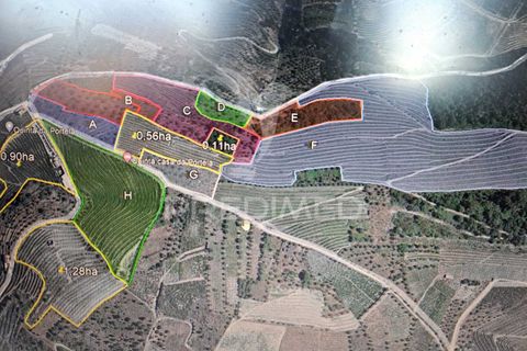 Farm hus i Tabuaco, Viseu, Tabuaco - € 760.000 | Ref: 052055 - foto 11