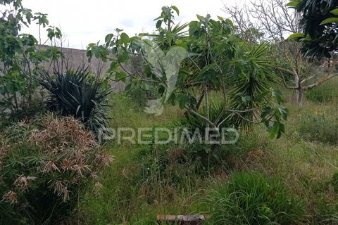 Byhus i Coruche, Santarem, Coruche - € 159.000 | Ref: 052105 - foto 18