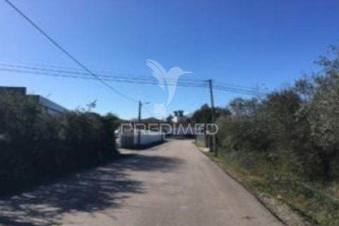 Helårsgrund i Cantanhede, Coimbra, Cantanhede - € 133.000 | Ref: 052109 - foto 3